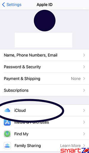 iphone icloud backup settings